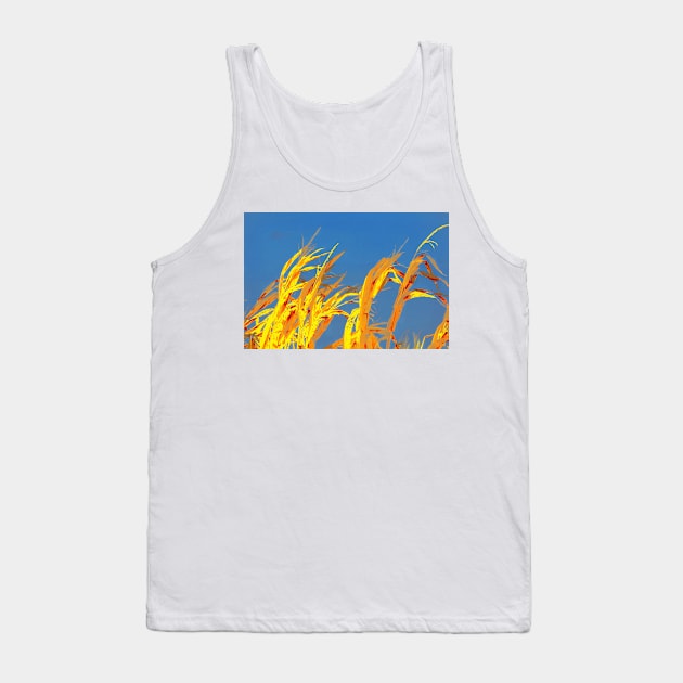 On the Rise Tank Top by bgaynor